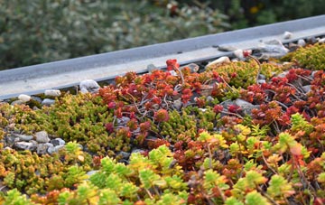 the cost of Burrastow green roof installation