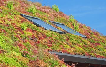 Burrastow living roof systems